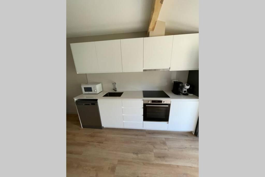 New Construction Penthouse With Pool And Wifi Apartment Osséja Exterior photo